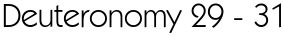 Deuteronomy 29 - 31 