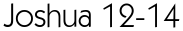 Joshua 12-14